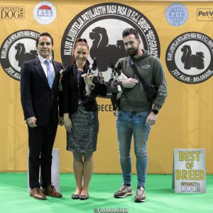 430319905_1895739634199069_7604879272183672441_n